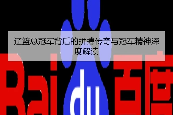 辽篮总冠军背后的拼搏传奇与冠军精神深度解读
