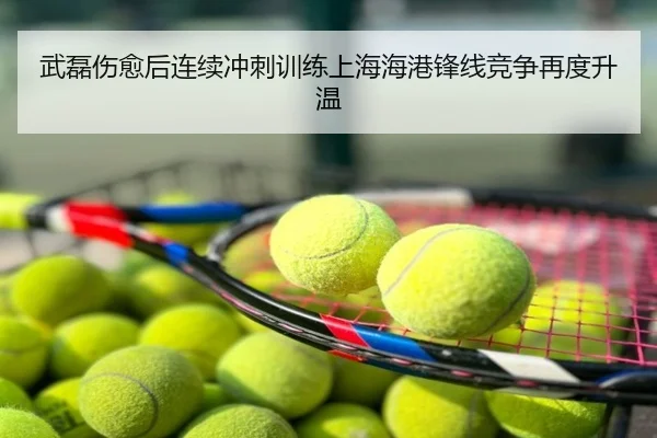 武磊伤愈后连续冲刺训练上海海港锋线竞争再度升温